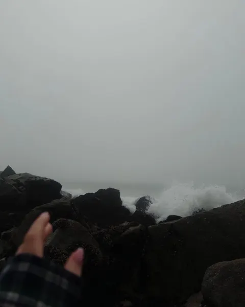 ponywave