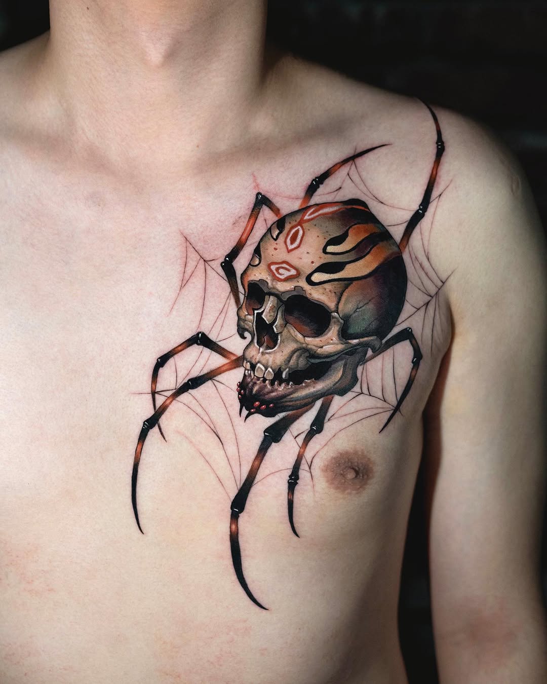 Animal