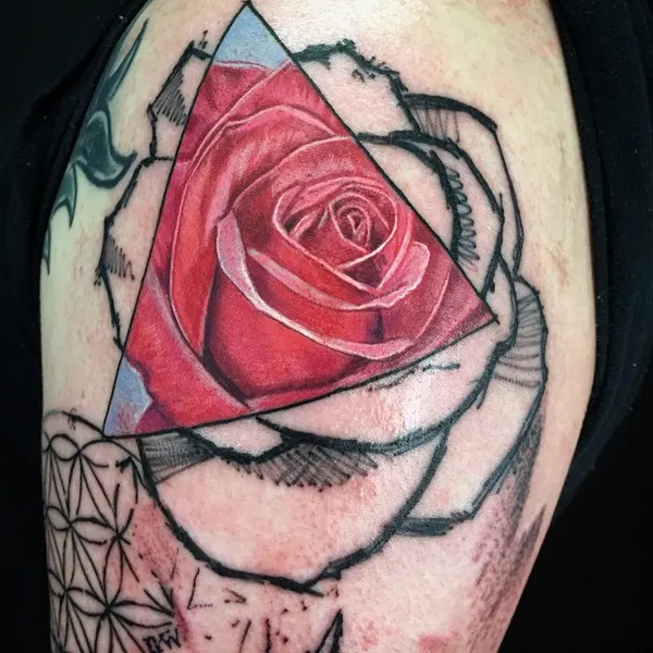 Flower, Rose