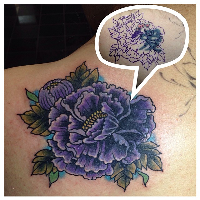 Flower, Rose, Nature