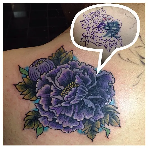 Flower, Rose, Nature