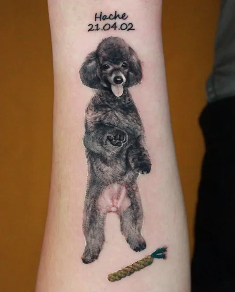 Animal