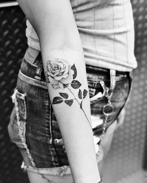 Flower, Rose