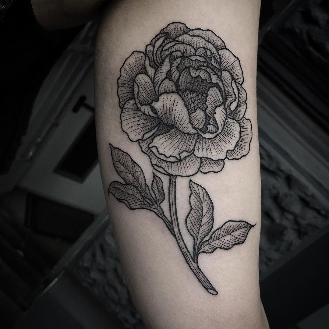 Flower, Rose