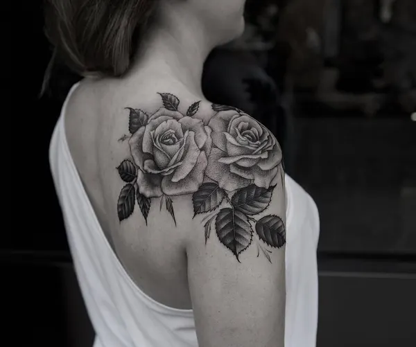Flower, Rose, Nature