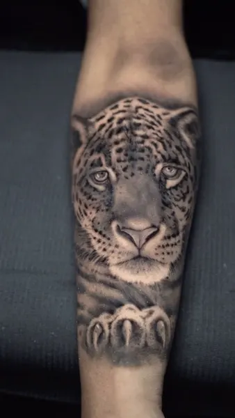 Animal
