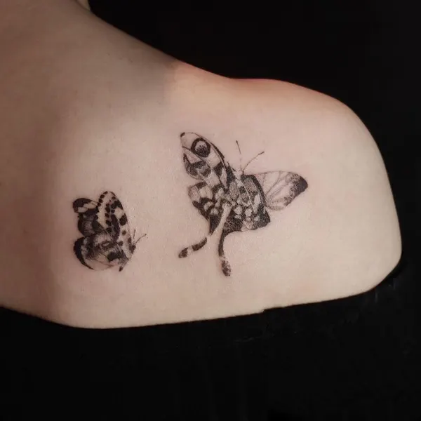Animal, Nature
