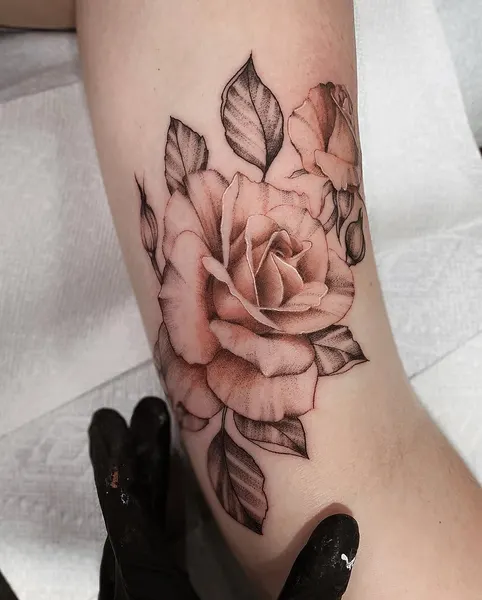 Flower, Rose