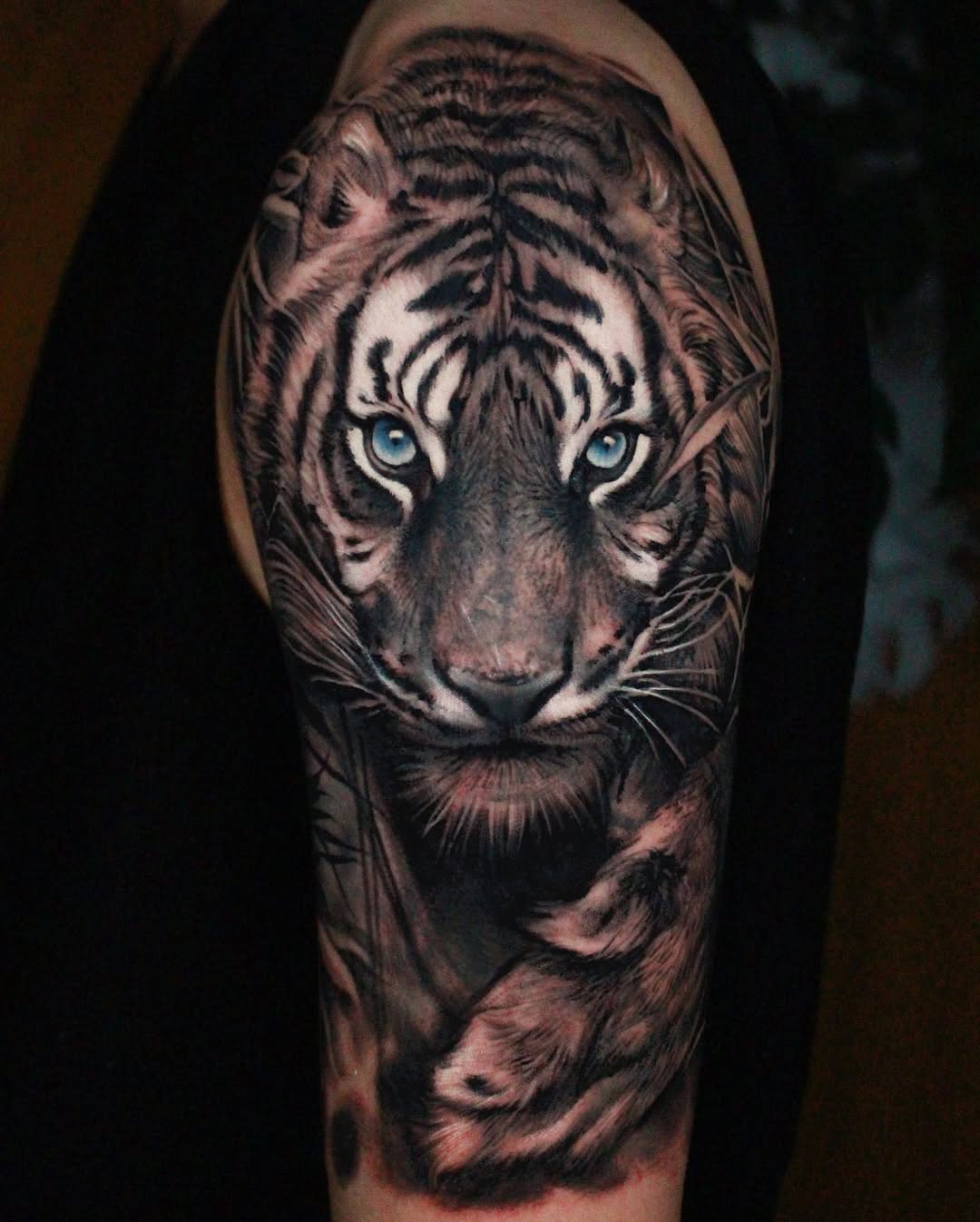Tiger, 중국 호랑이