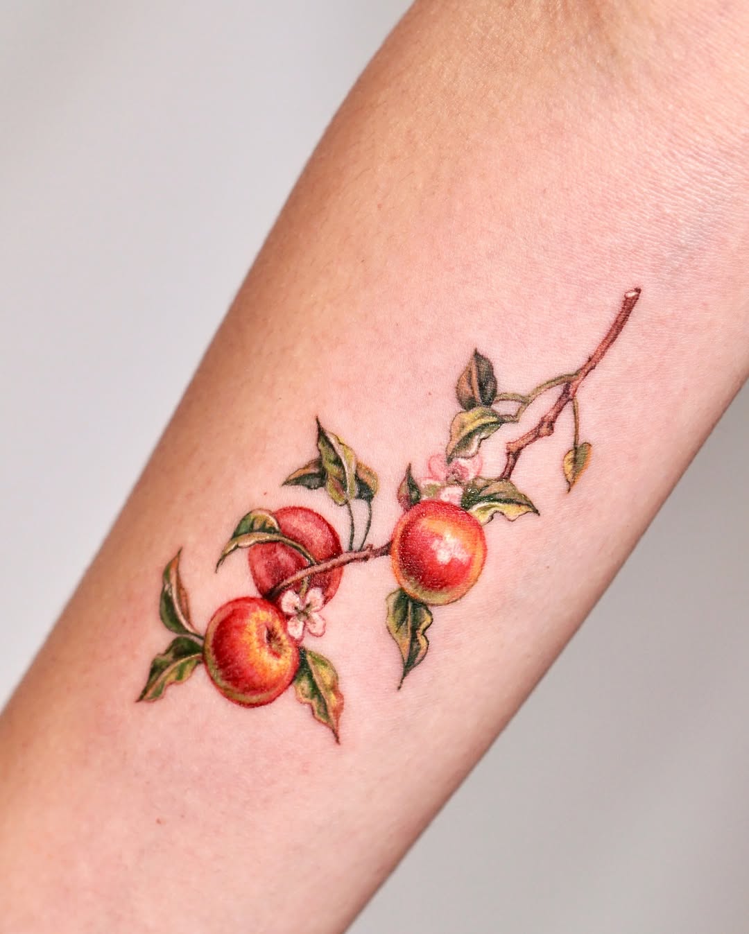 Flower, 과일, 사과, 포도, 체리