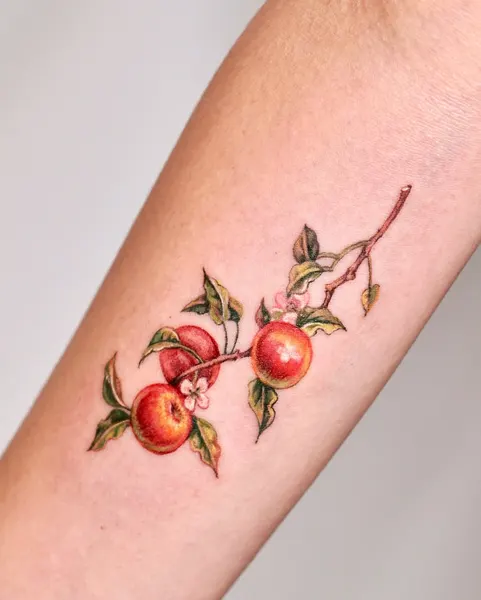 Flower, 과일, 사과, 포도, 체리