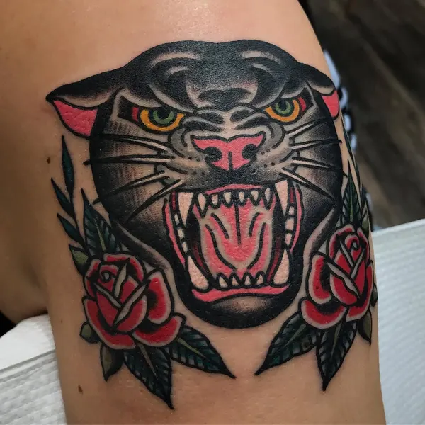 Tiger, Animal