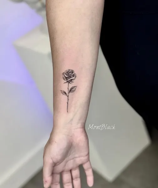 Flower, Rose