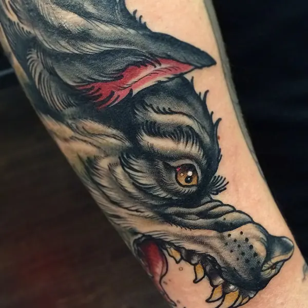 Tiger, Animal