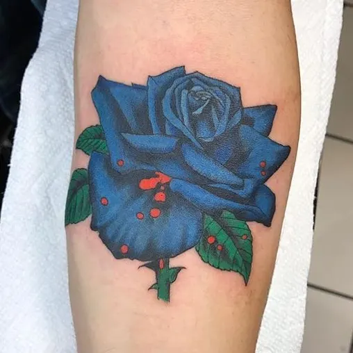 Flower, Rose