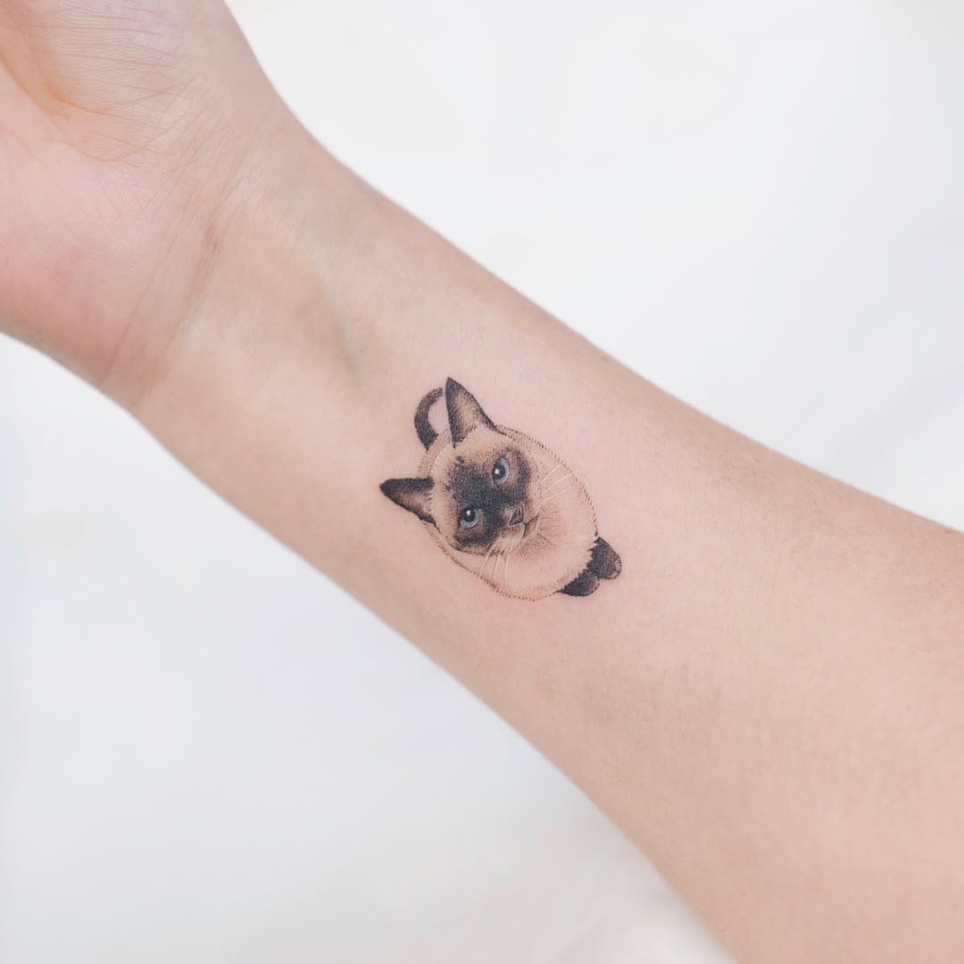 soltattoo