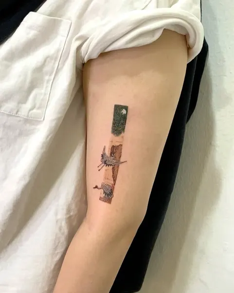 조개, 함사, 호수