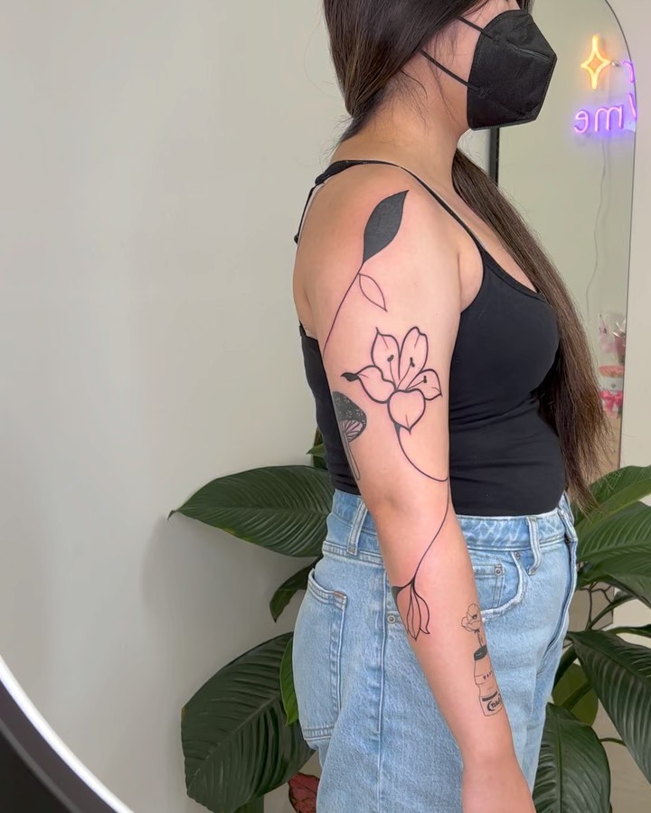 Flower, Rose