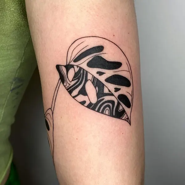 plantsnpokes