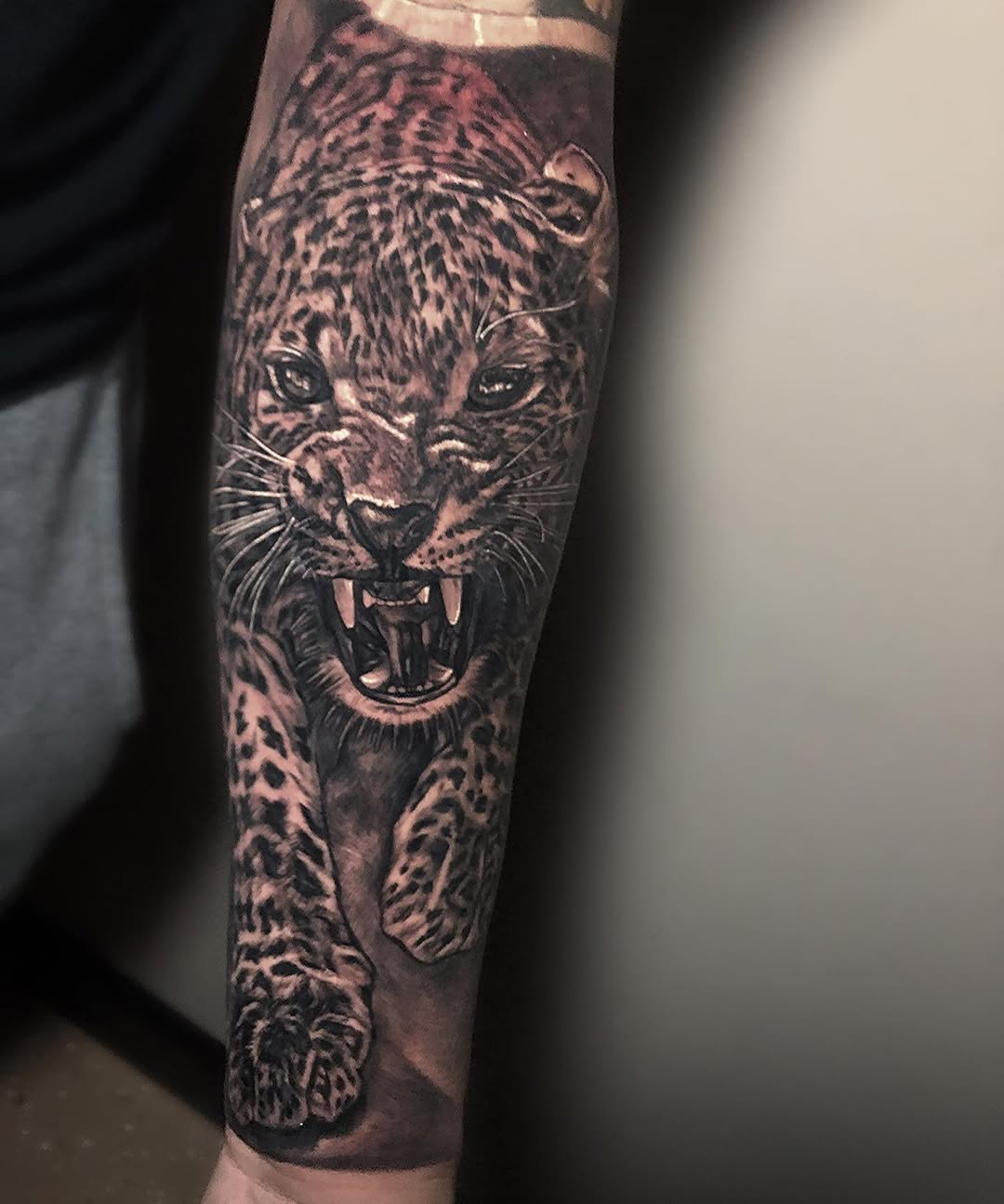 Animal
