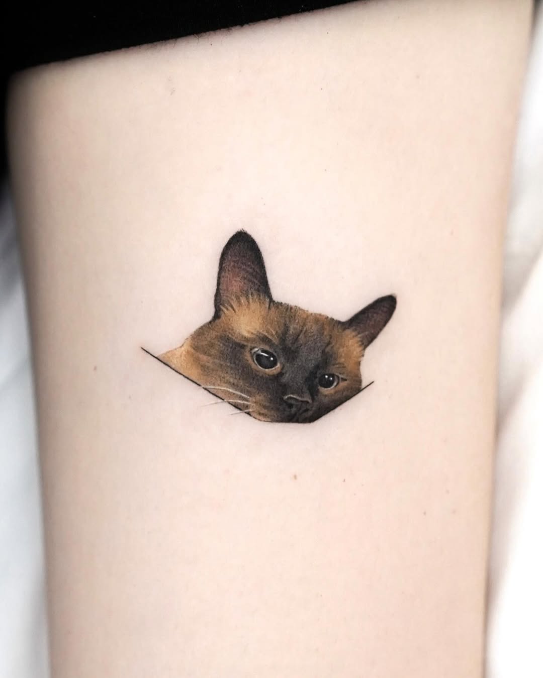 dorok.tattoo