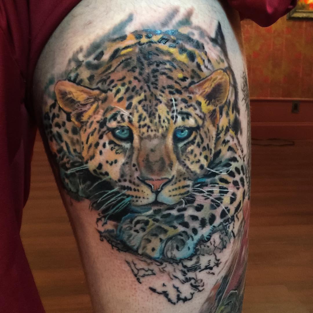 Animal
