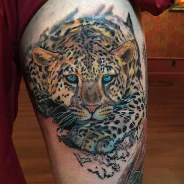 Animal