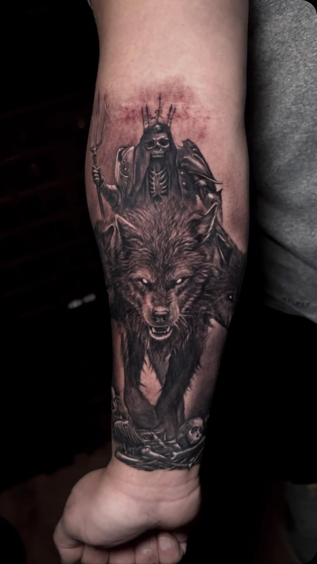 Animal