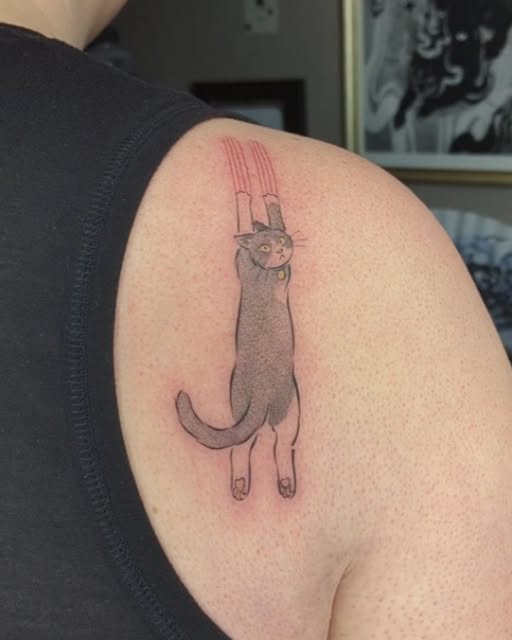 Animal