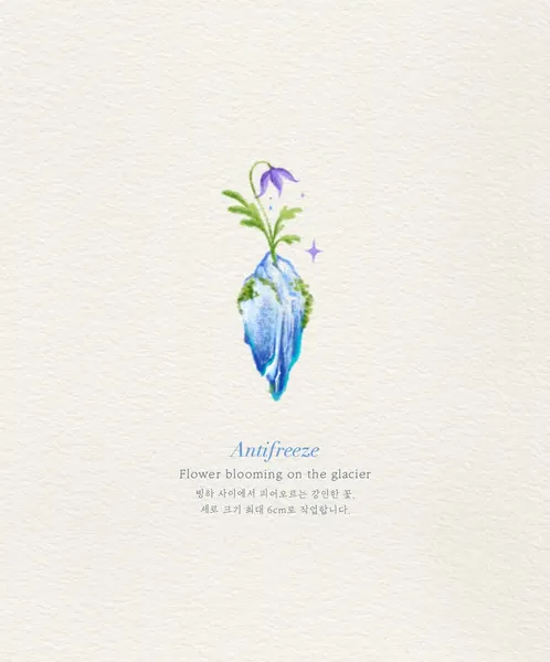 Flower, Nature