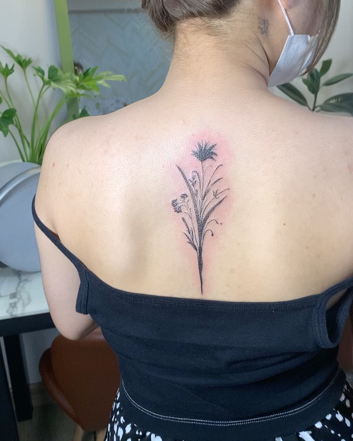 miaa_tattat