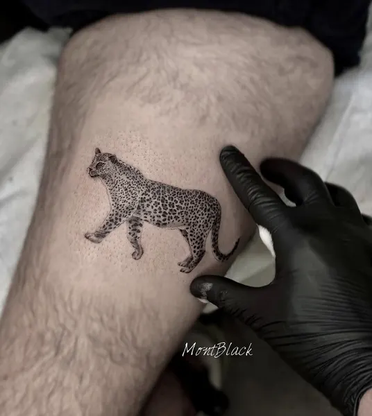 Animal, Tiger