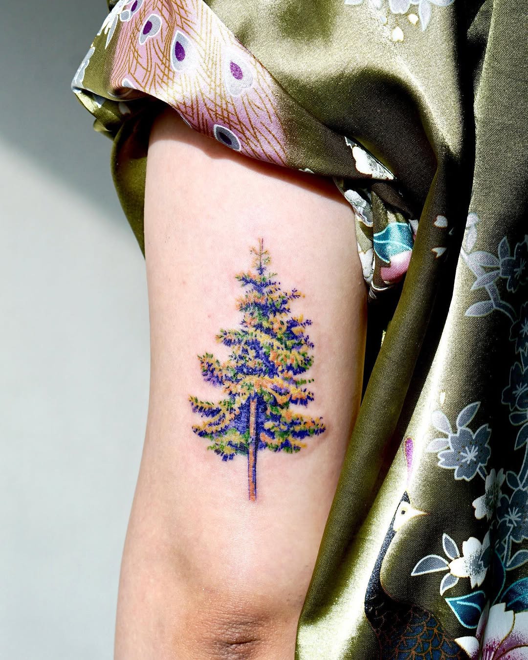 Nature, 소나무
