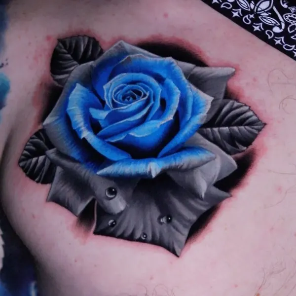 Nature, Rose, Flower