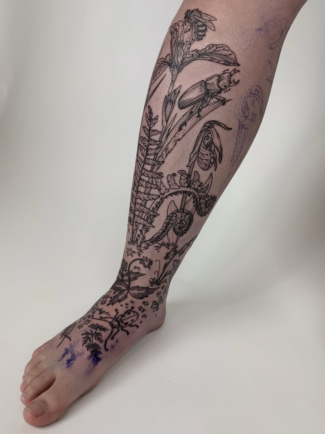 freeorgy