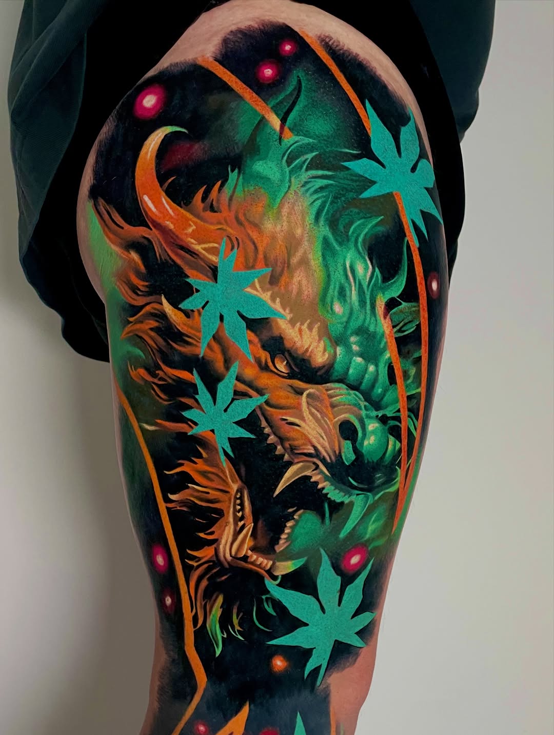드래곤 라이더, Dragon, 일본 용, 한국 용