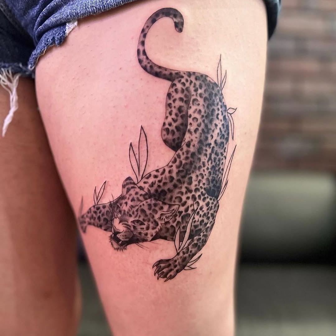Tiger, Animal