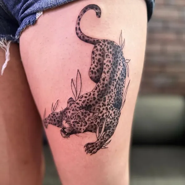 Tiger, Animal