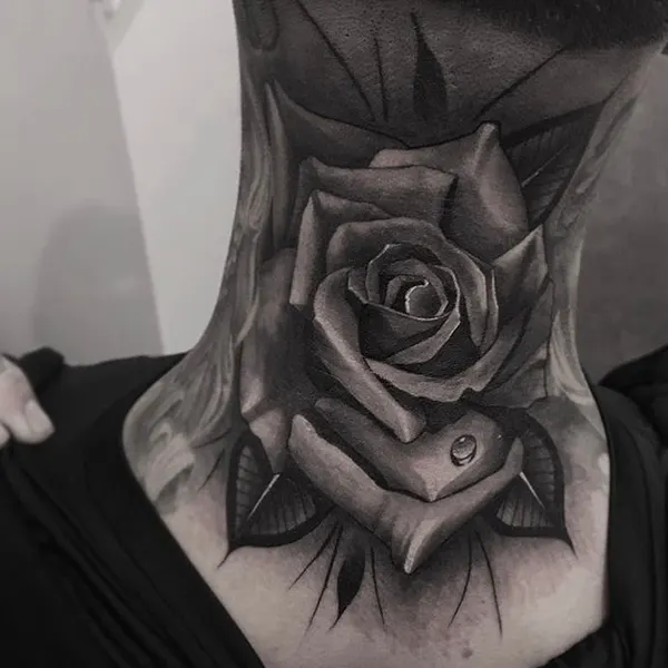 Flower, Rose, Nature