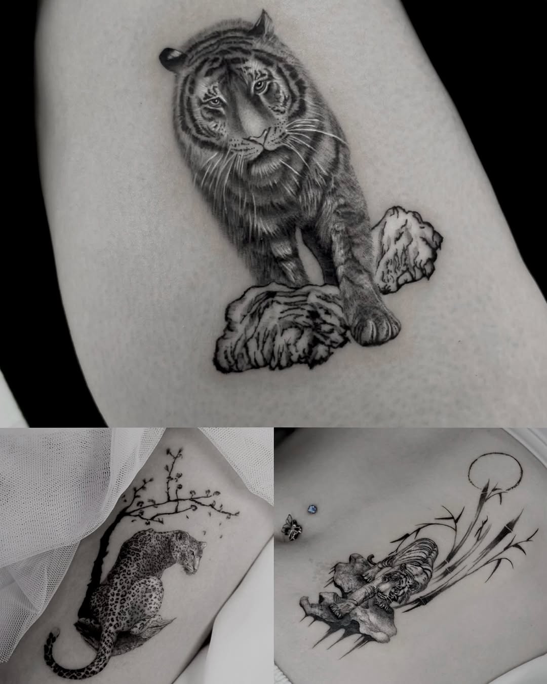 Animal