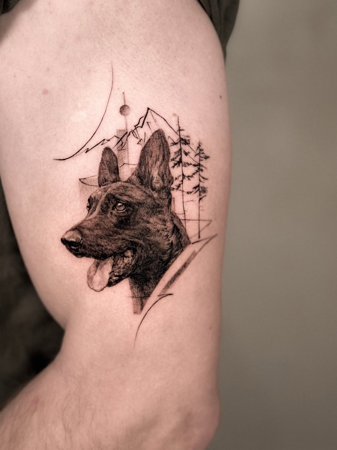 Animal
