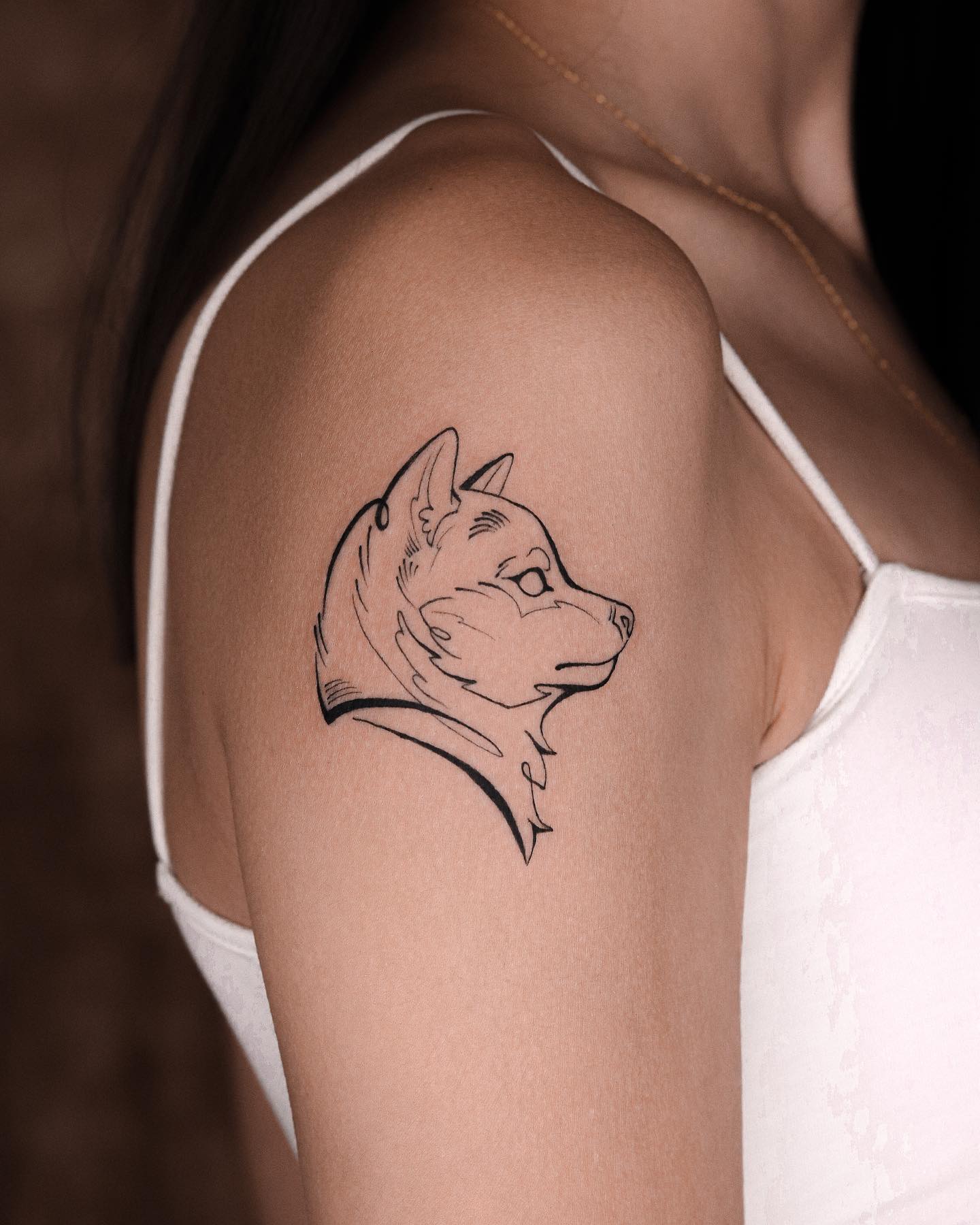 Animal