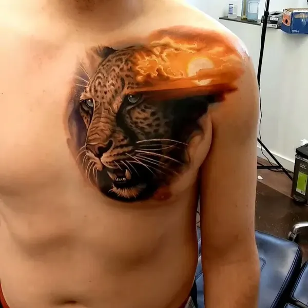 Animal, Tiger