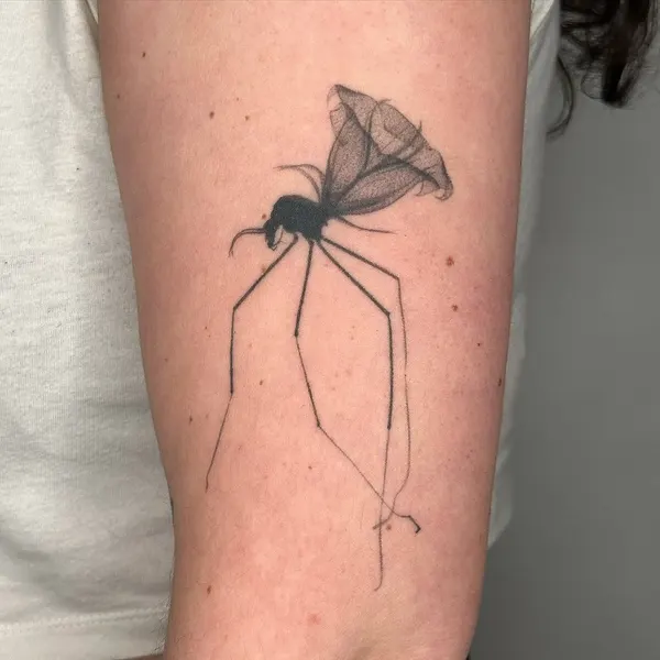Animal