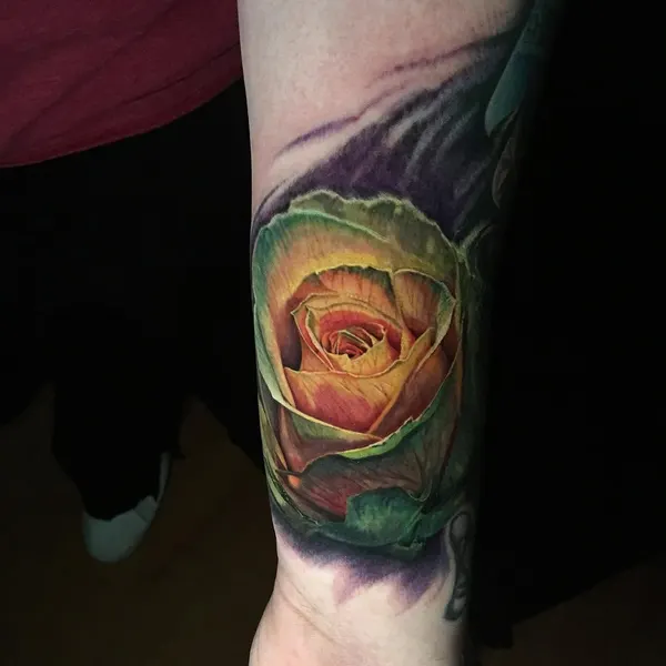Flower, Rose
