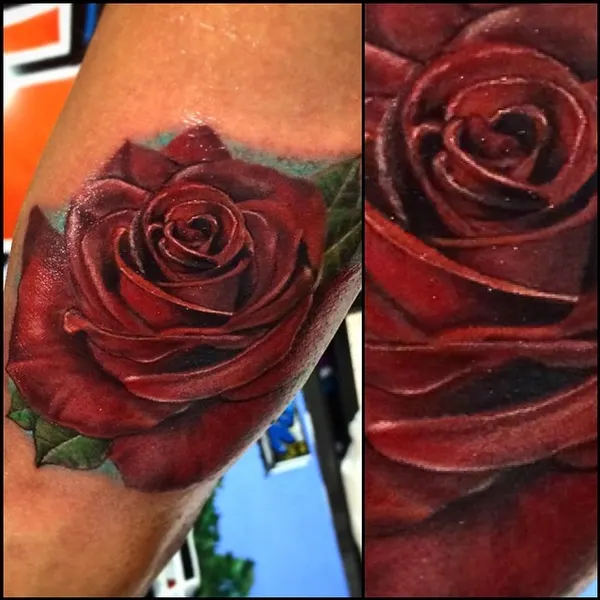 Flower, Rose
