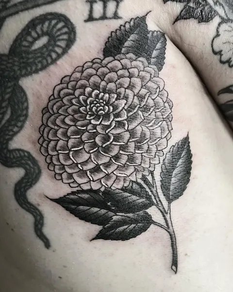 Flower, Rose, Dragon
