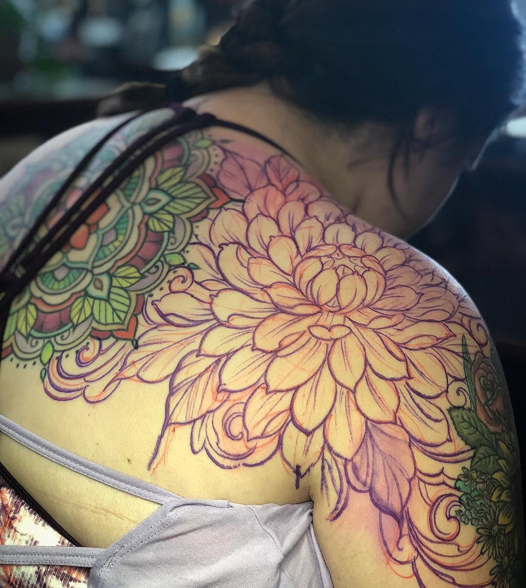 Flower, Nature, Rose