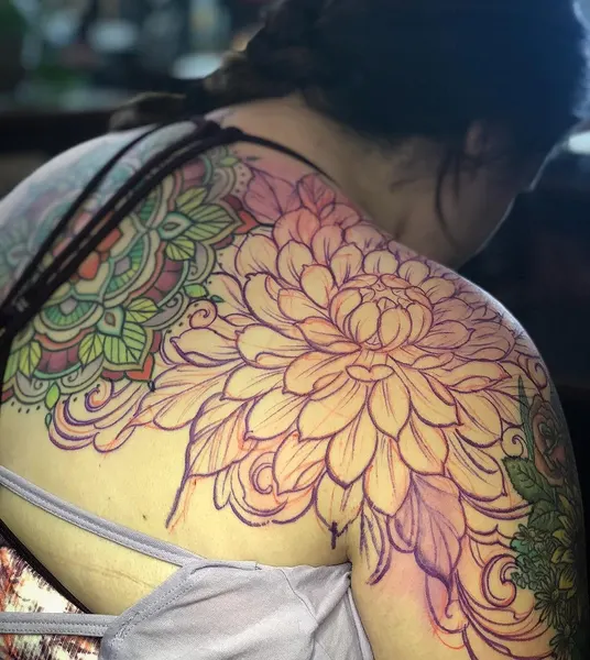 Flower, Nature, Rose