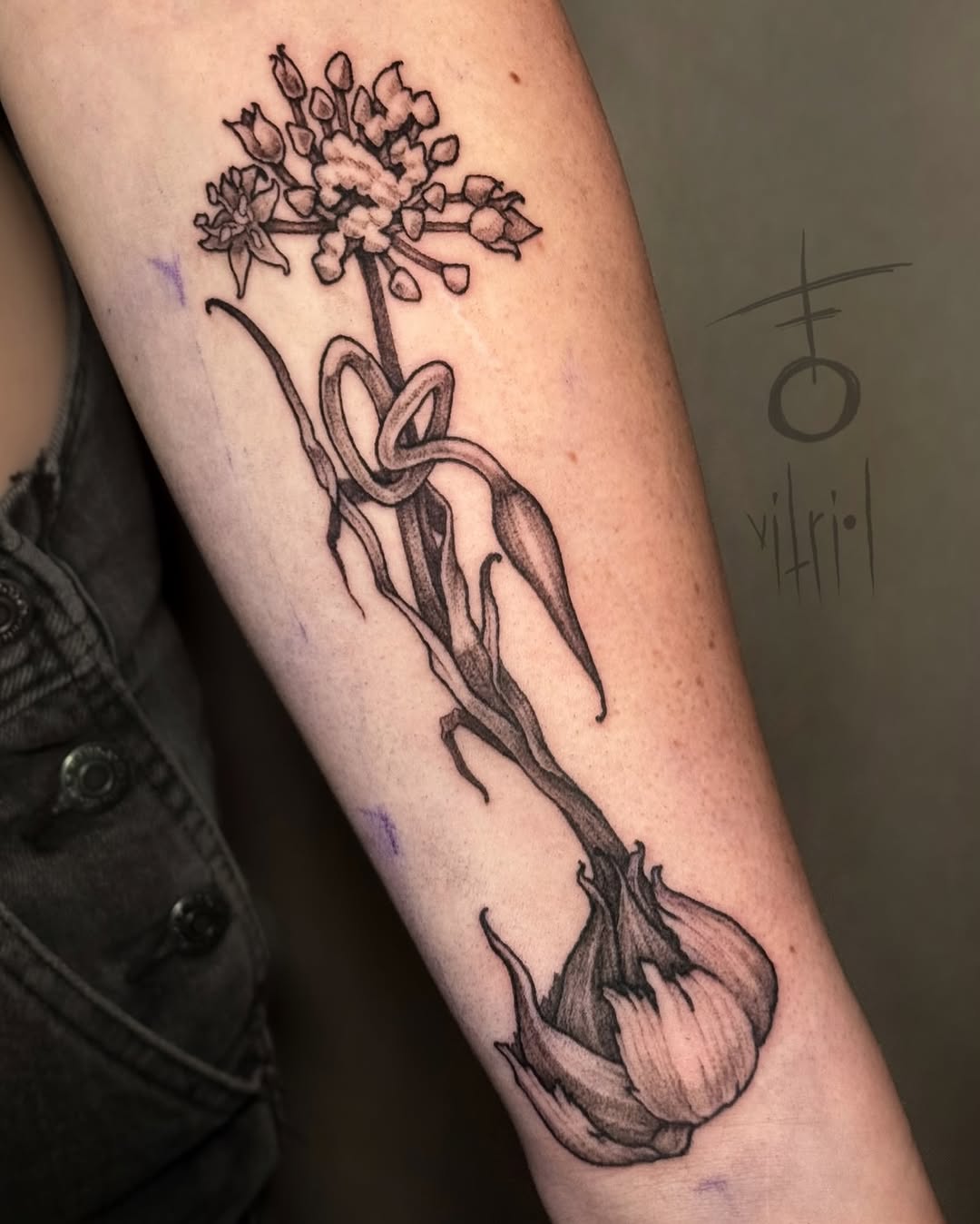 vitrioltattoo